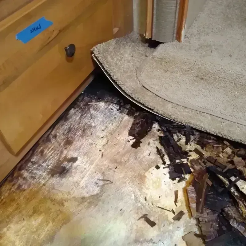 Wood Floor Water Damage in Zephyrhills North, FL